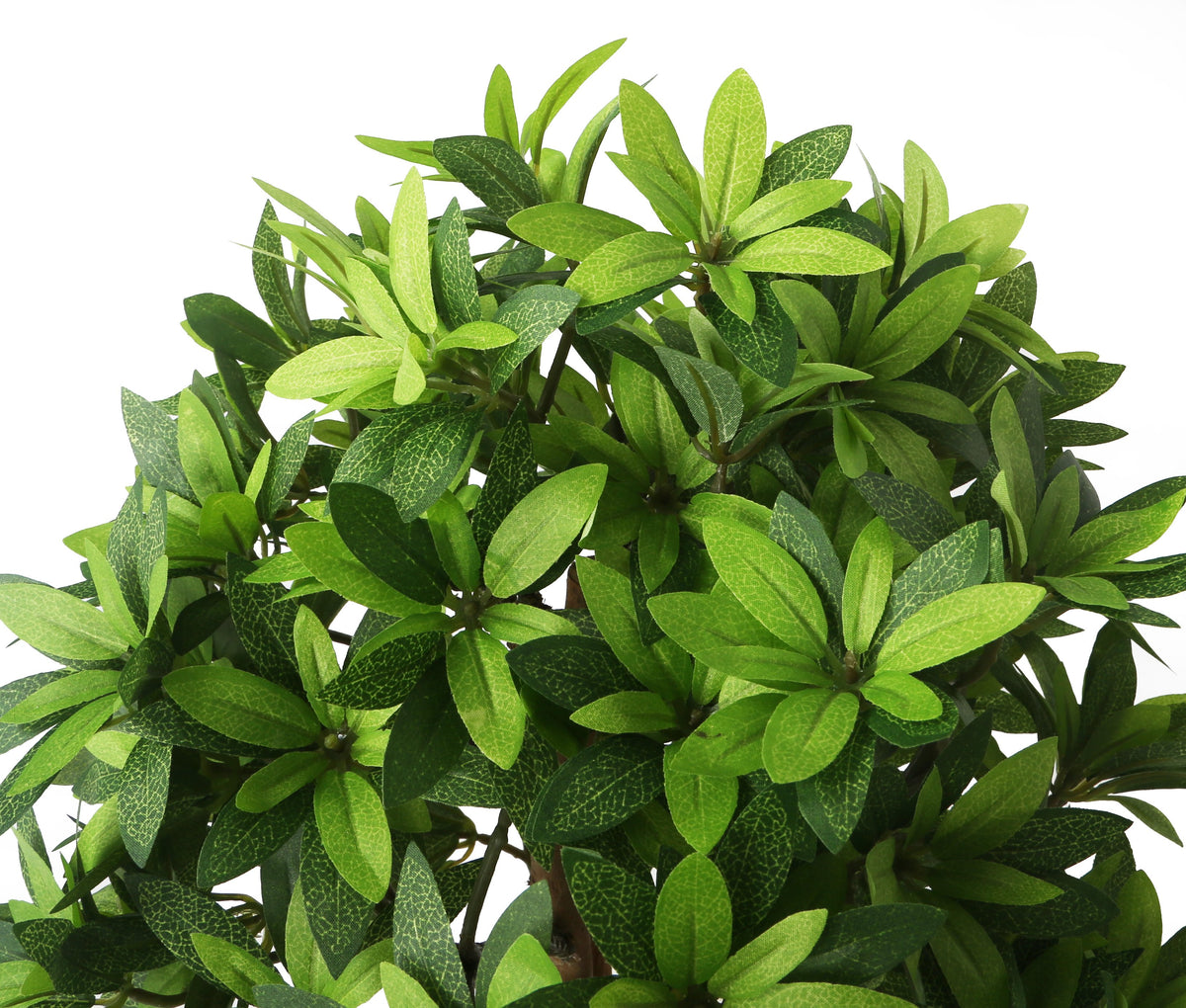 How to Clean Our Artificial Plants and Trees Closer2Nature