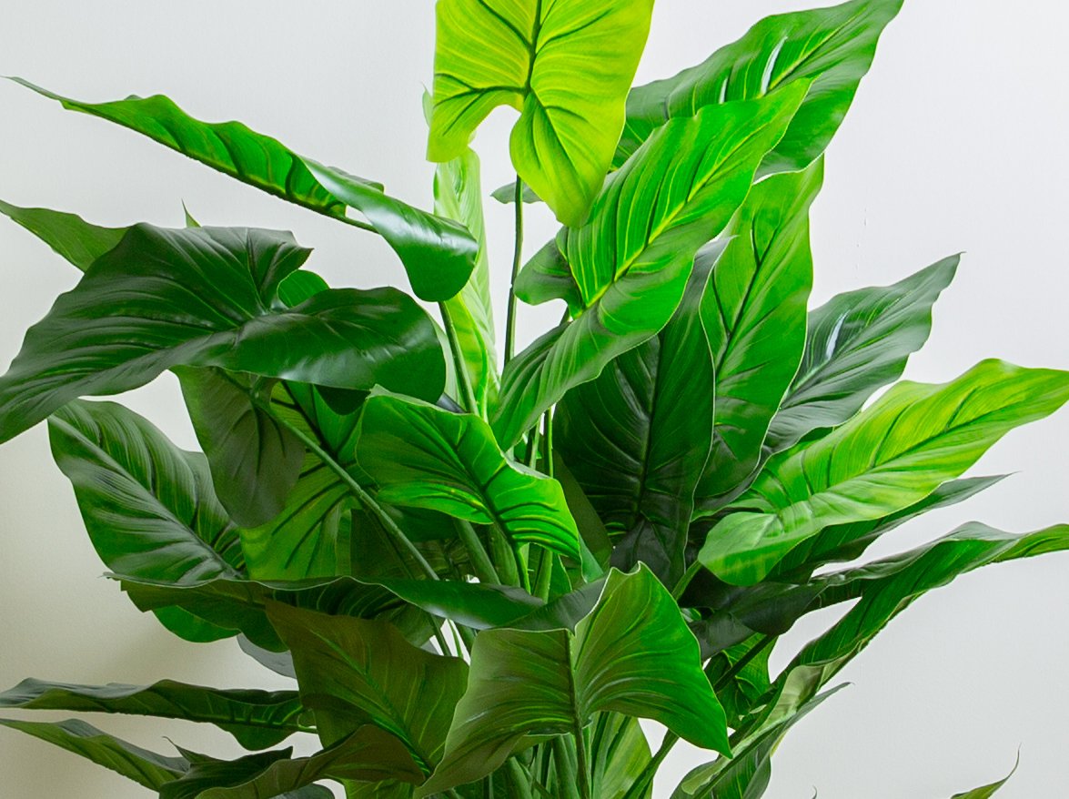 Artificial Foliage Plants Closer2Nature