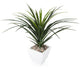 Artificial 3ft 6″ Pandan Plant - Closer2Nature