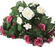 Artificial 26cm Dusky Pink and White Rose Plug Plant Collection - Closer2Nature