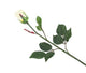 Artificial 60cm Single Stem Closed Bud Cream Rose - Closer2Nature