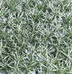 Artificial 25cm² Pine Matting - Closer2Nature