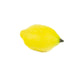 Artificial 11cm Lemon - Closer2Nature