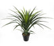 Artificial 3ft 6″ Pandan Plant - Closer2Nature