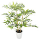 Artificial 2ft 3″ Golden Bamboo Tree - Closer2Nature