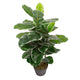 Artificial 2ft 9" Rubber Plant - Closer2Nature