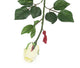 Artificial 60cm Single Stem Closed Bud Cream Rose - Closer2Nature