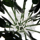WebVase Flower Arranging Aid