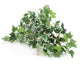 Artificial 25cm Variegated Ivy Plug Plant - Closer2Nature