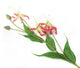 Artificial 102cm Single Stem Pink Flame Lily - Closer2Nature