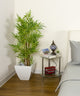 Artificial 3ft 6″ Fountain Bamboo Tree - Closer2Nature