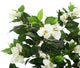 Artificial 3ft 2″ White Bougainvillea Tree - Closer2Nature