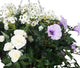 Artificial White and Purple Rose, Daisy and Morning Glory Display in a 14″ Round Willow Hanging Basket - Closer2Nature