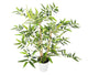 Artificial 2ft 3″ Golden Bamboo Tree - Closer2Nature