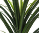 Artificial 3ft 6″ Pandan Plant - Closer2Nature