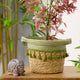 Tassel Storage Basket - Green - Closer2Nature