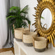 Two Tone Maize Baskets Set of 3 - Closer2Nature