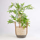 Two Tone Maize Basket