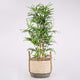 Two Tone Maize Basket