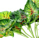 Artificial 30cm Variegated Arrowhead Vine Plug Plant - Closer2Nature