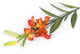 Artificial 75cm Single Stem Red Asiatic Lily - Closer2Nature