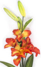 Artificial 75cm Single Stem Red Asiatic Lily - Closer2Nature