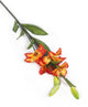 Artificial 75cm Single Stem Red Asiatic Lily - Closer2Nature
