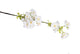 Artificial 68cm Single Stem White Japanese Cherry Blossom - Closer2Nature
