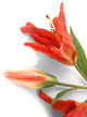 Artificial 87cm Single Stem Deep Orange Oriental Lily - Closer2Nature