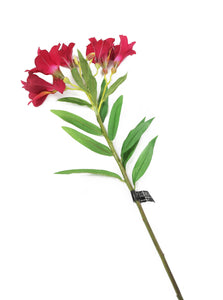 Artificial 74cm Single Stem Magenta Peruvian Lily - Closer2Nature