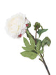Artificial 80cm Single Stem White Peony - Closer2Nature