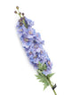 Artificial 105cm Single Stem Purple Candle Larkspur - Closer2Nature