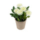 Artificial 18cm White Chrysanthemum Plant with Gift Box - Closer2Nature