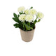 Artificial 18cm White Chrysanthemum Plant with Gift Box - Closer2Nature