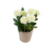 Artificial 18cm White Chrysanthemum Plant with Gift Box - Closer2Nature