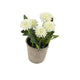 Artificial 18cm White Chrysanthemum Plant with Gift Box - Closer2Nature