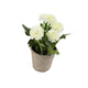 Artificial 18cm White Chrysanthemum Plant with Gift Box - Closer2Nature
