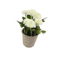 Artificial 18cm White Chrysanthemum Plant with Gift Box - Closer2Nature