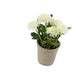 Artificial 18cm White Chrysanthemum Plant with Gift Box - Closer2Nature