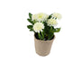 Artificial 18cm White Chrysanthemum Plant with Gift Box - Closer2Nature