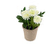 Artificial 18cm White Chrysanthemum Plant with Gift Box - Closer2Nature