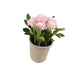 Artificial 18cm Pink Chrysanthemum Plant with Gift Box - Closer2Nature