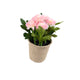 Artificial 18cm Pink Chrysanthemum Plant with Gift Box - Closer2Nature