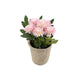 Artificial 18cm Pink Chrysanthemum Plant with Gift Box - Closer2Nature