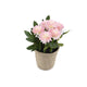 Artificial 18cm Pink Chrysanthemum Plant with Gift Box - Closer2Nature