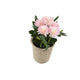 Artificial 18cm Pink Chrysanthemum Plant with Gift Box - Closer2Nature