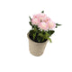 Artificial 18cm Pink Chrysanthemum Plant with Gift Box - Closer2Nature