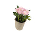 Artificial 18cm Pink Chrysanthemum Plant with Gift Box - Closer2Nature