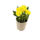Artificial 18cm Yellow Chrysanthemum Plant with Gift Box - Closer2Nature