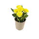 Artificial 18cm Yellow Chrysanthemum Plant with Gift Box - Closer2Nature